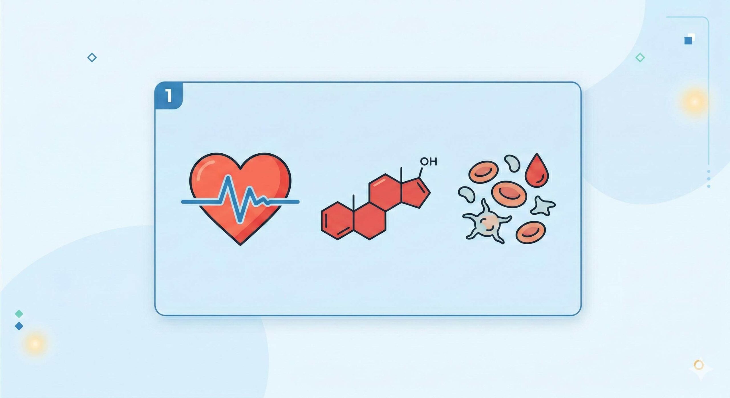 Comprehensive Bloodwork